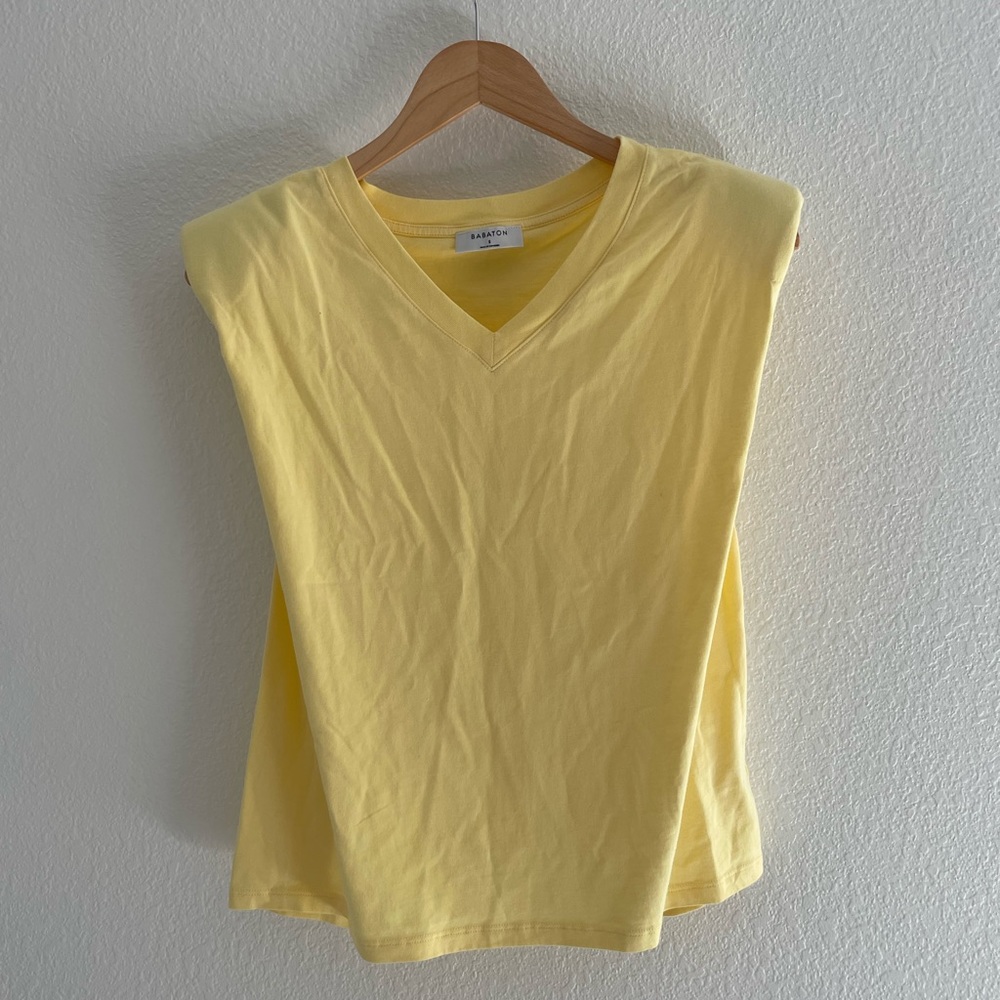 Aritzia Babaton shirt